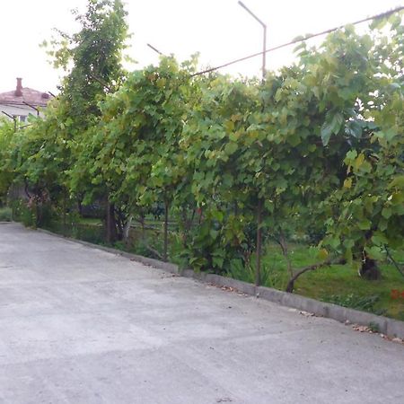 غاغرا Guest House U Aleny المظهر الخارجي الصورة