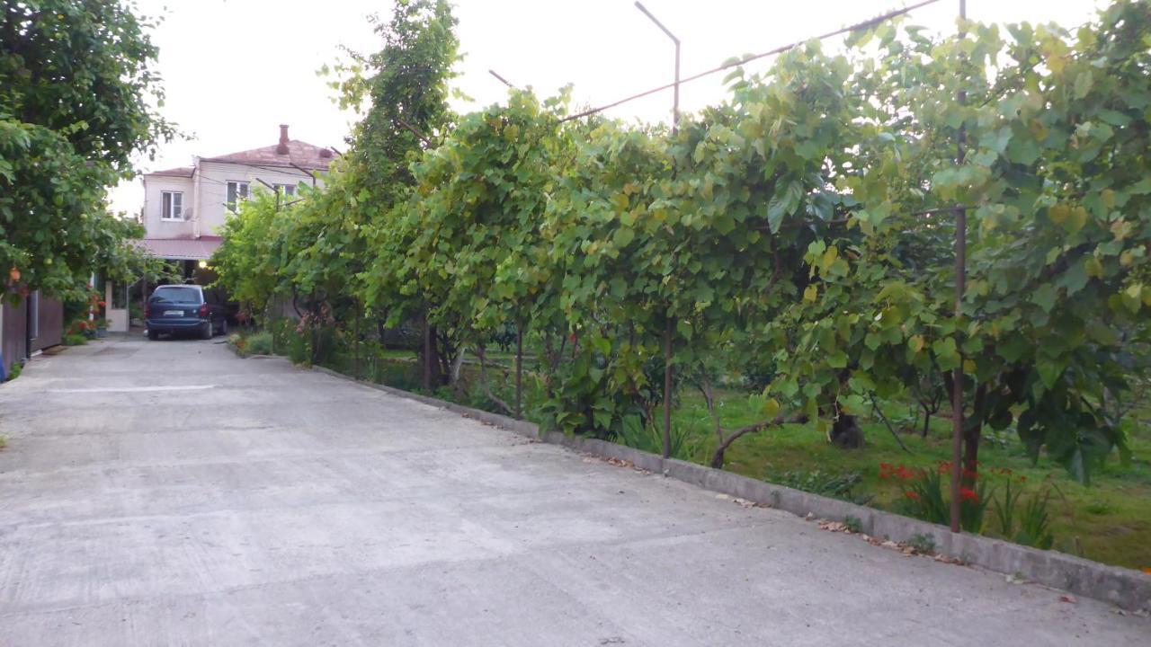 غاغرا Guest House U Aleny المظهر الخارجي الصورة